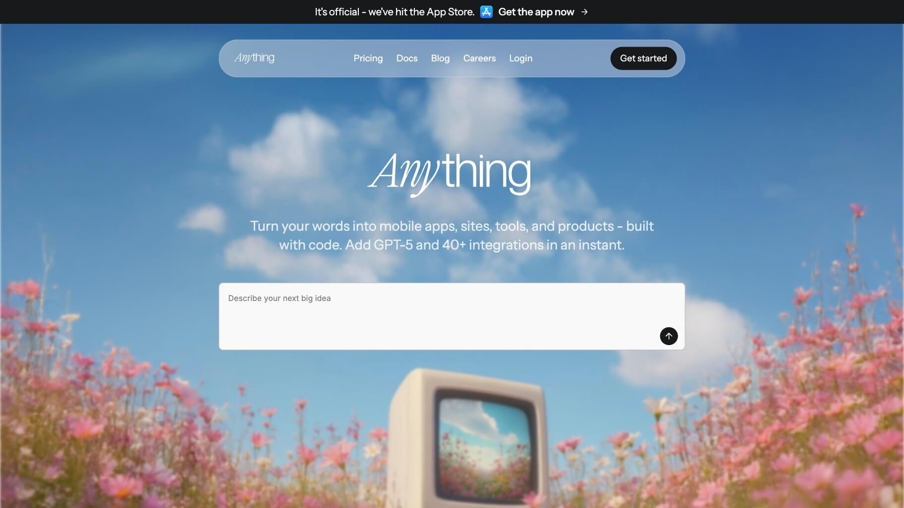 Anything