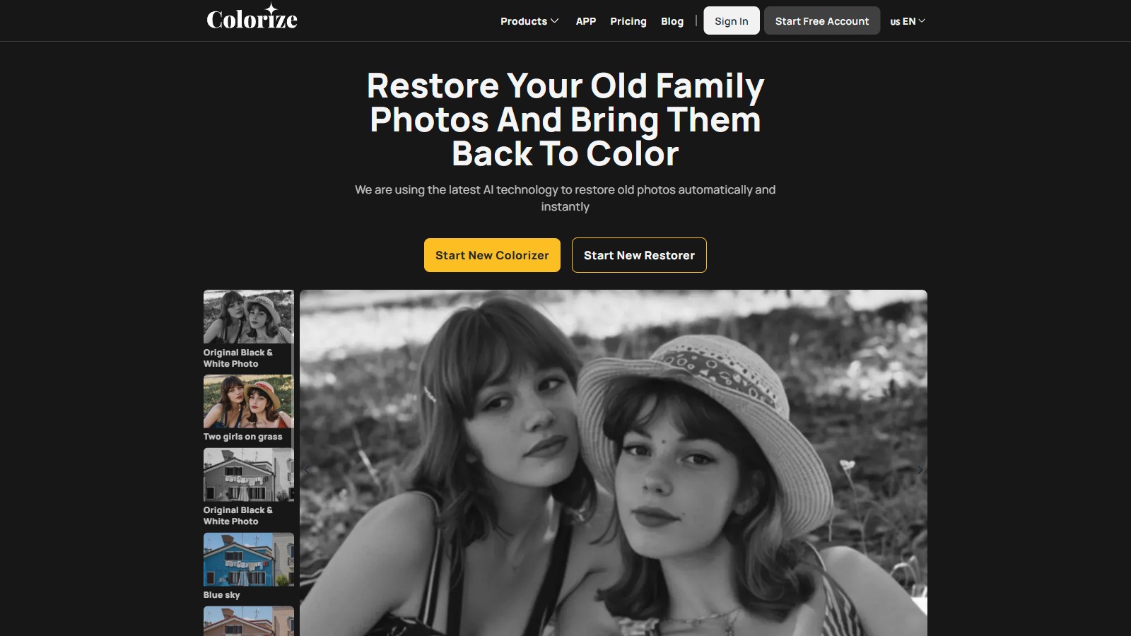 ImageColorizer