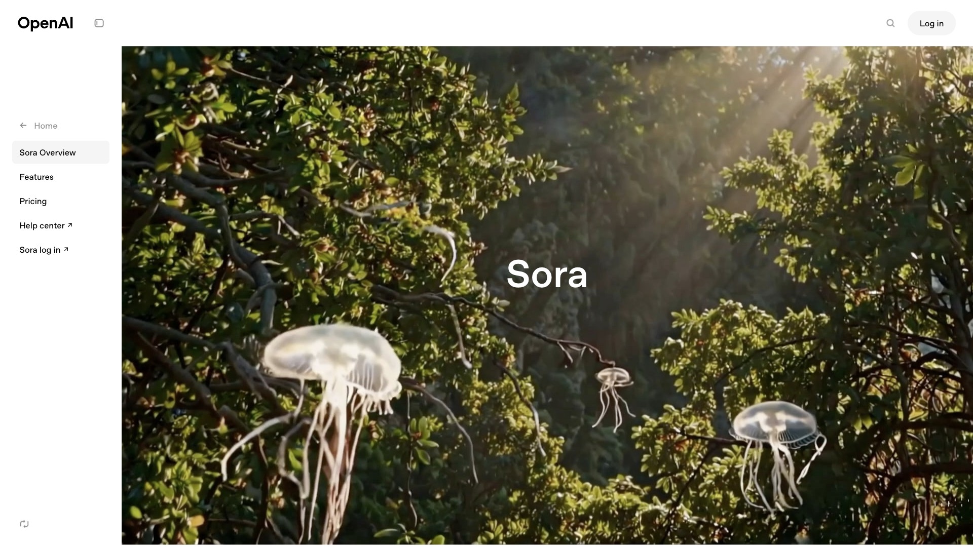 Sora