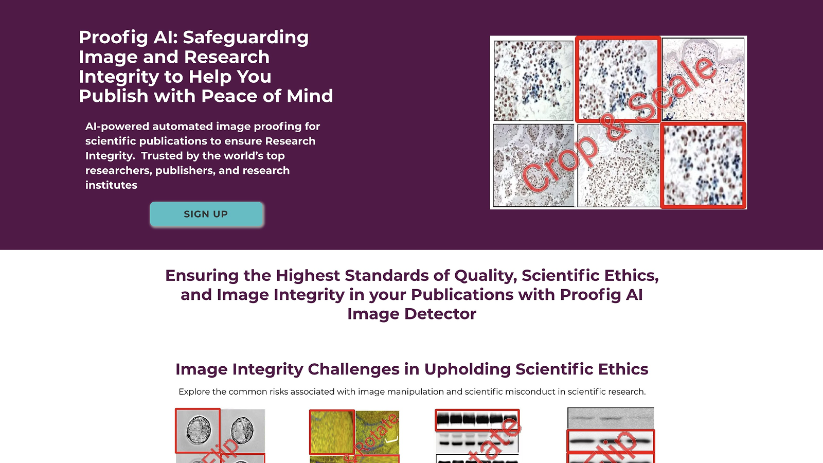 Proofig AI