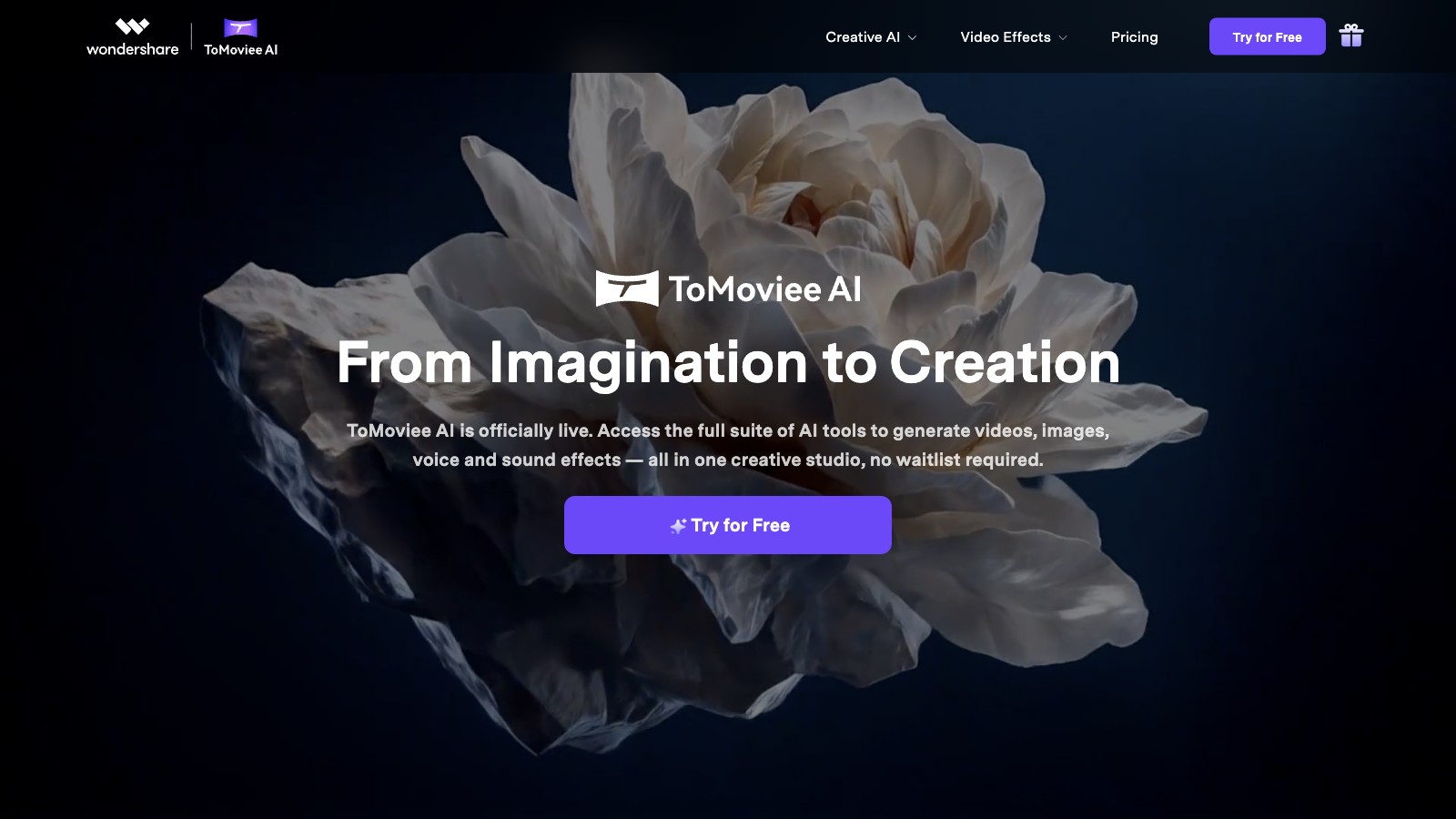 ToMoviee AI